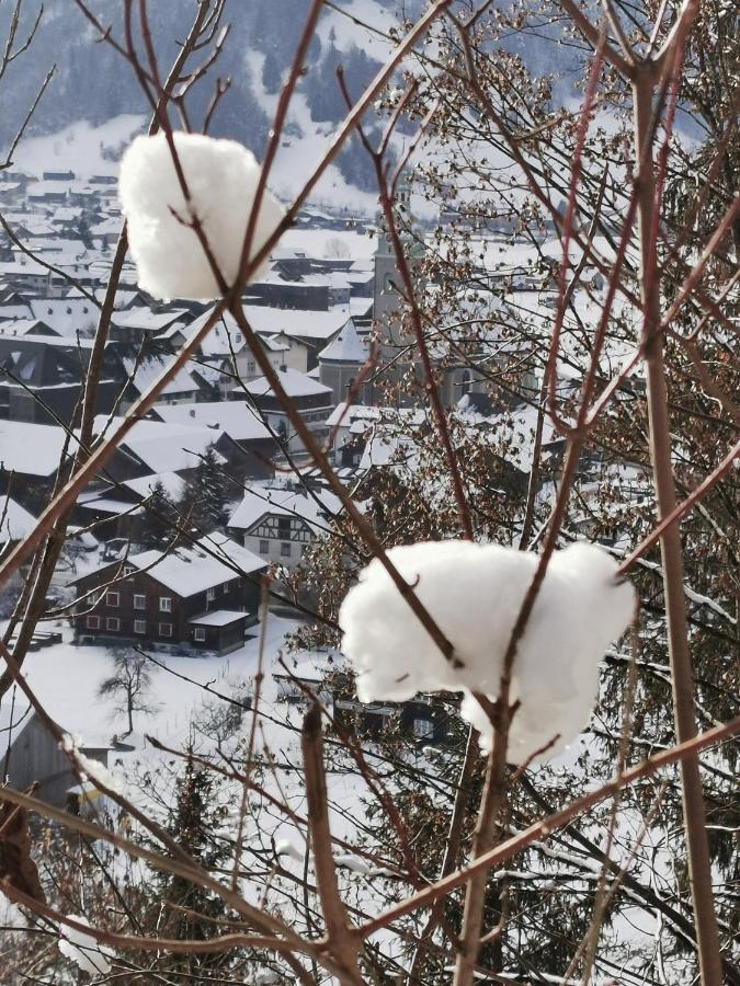 Ferienwohnung An Der Alten Saege Bezau Bagian luar foto